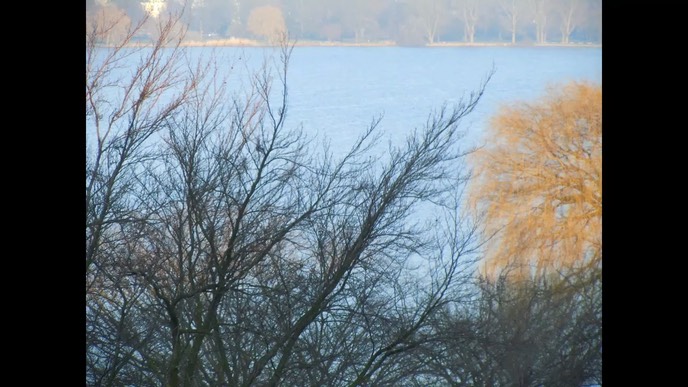 schweigsame-herzen-2-2