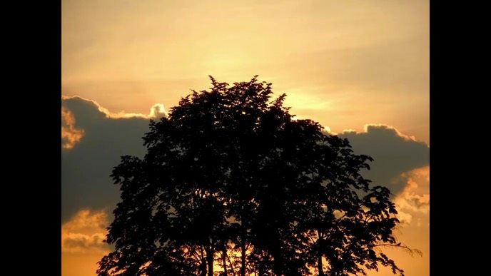 selige-sehnsucht-2-2