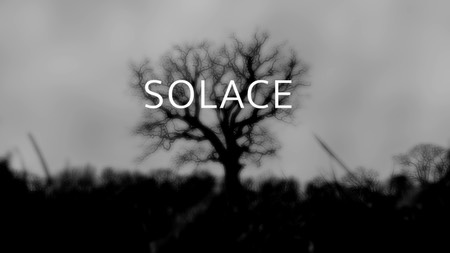 sendecki--spiegel---solace