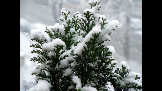 wintermorgen-1-2-2